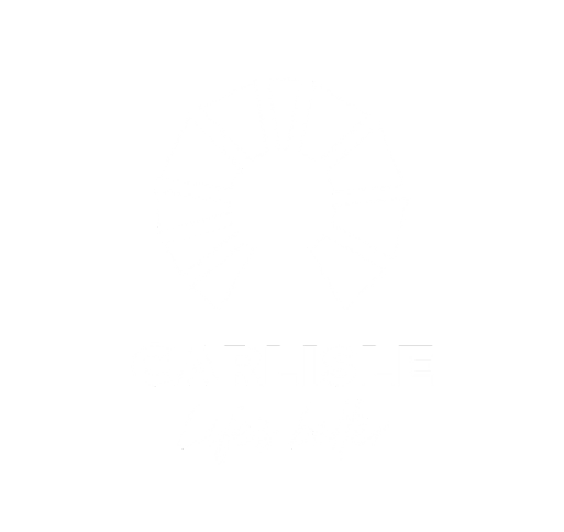 Website Customer Logo -Carlisle Homes